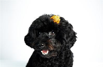 《第9层：开始》免费登陆Steam 类8番出口惊悚解谜